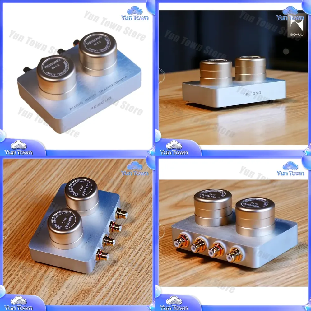 Passive Preamp - Untuk Boyuu BYPT2T untuk Reisong Pasif