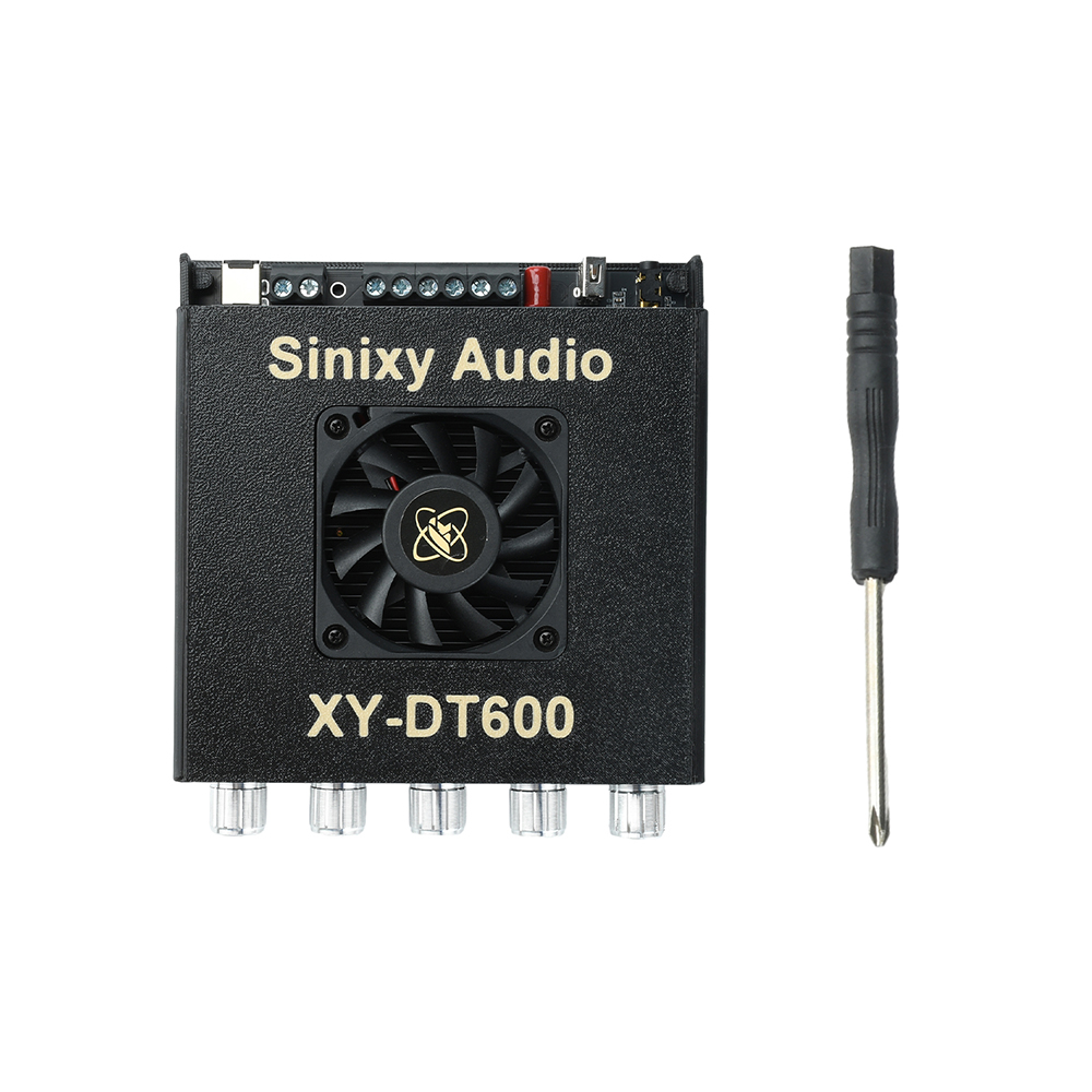 XY Dt600 2.1CH Penguat Daya Bl - Es9018 Dac ulasan dan harga